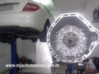 /album/galeria-de-fotos-pagina-inicial/a1544547-658562597535942-1329682956-n-copia-jpg/